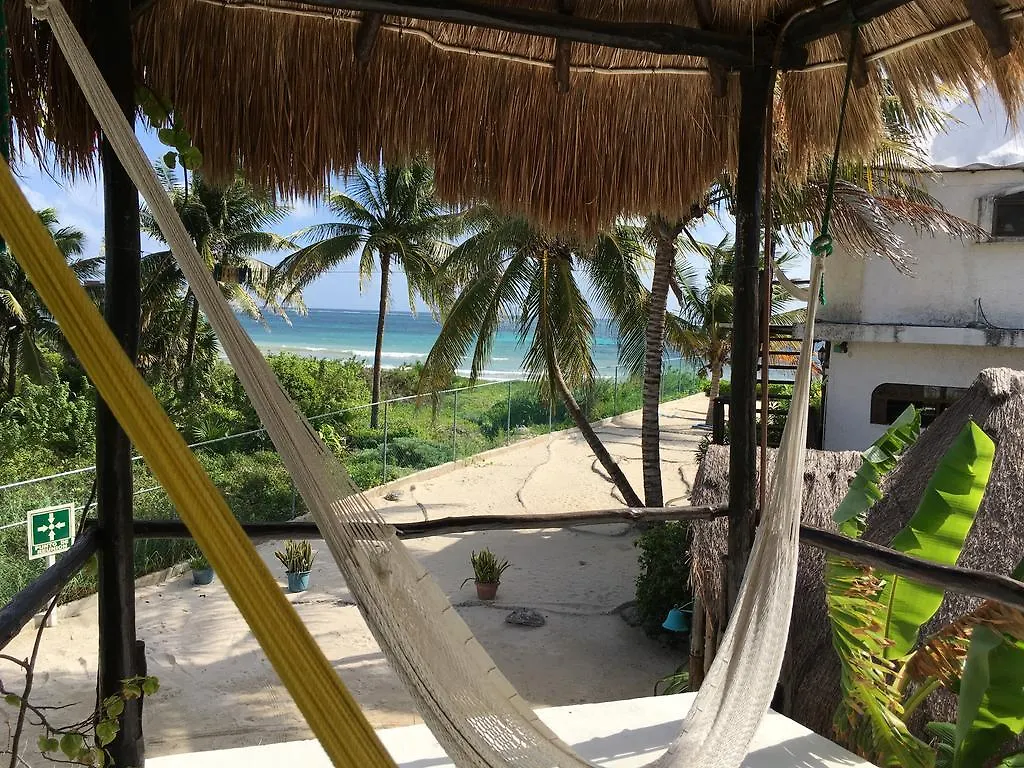 Rancho Sakol Hotel Puerto Morelos