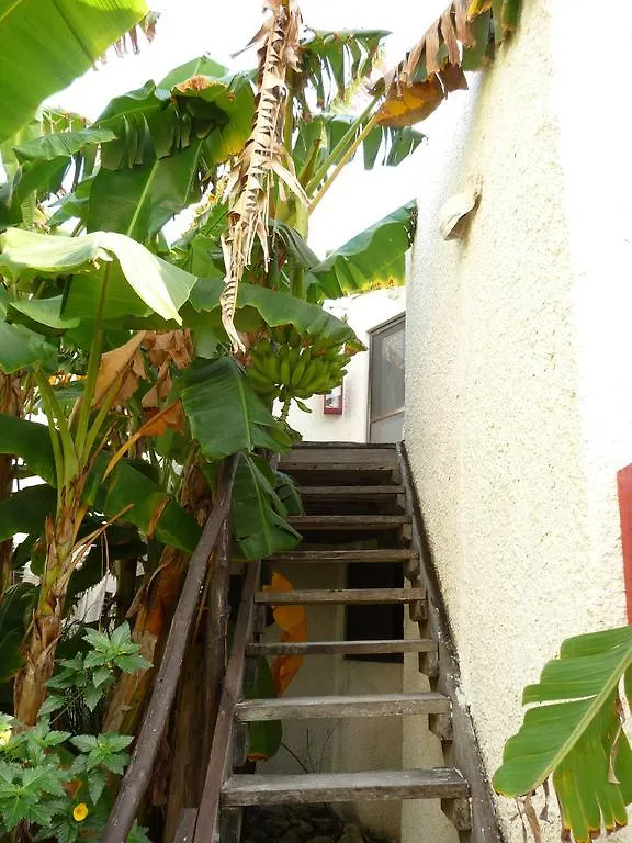 Rancho Sakol Hotel Puerto Morelos