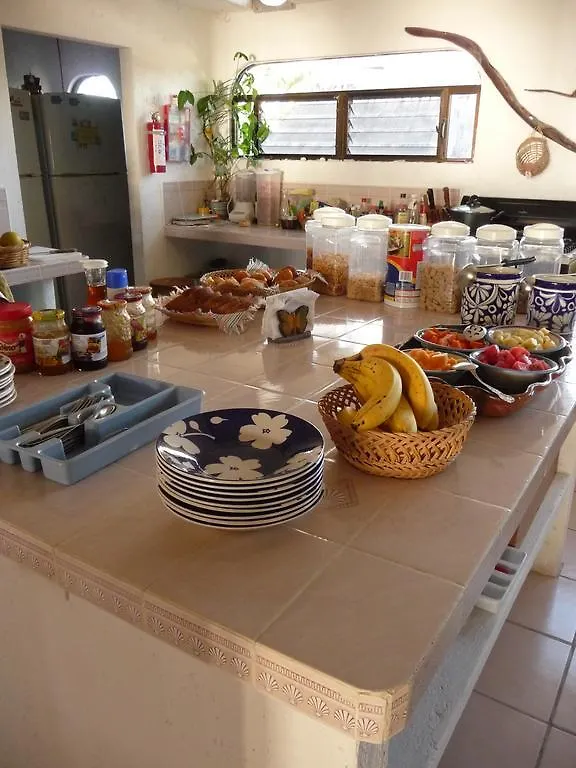 Rancho Sakol Hotel Puerto Morelos 3*,